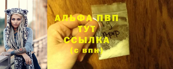 хмурый Арсеньев