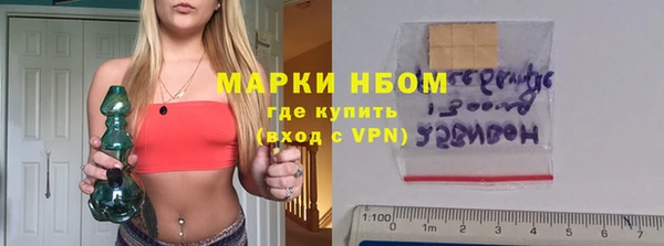 хмурый Арсеньев