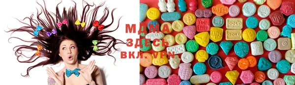 хмурый Арсеньев