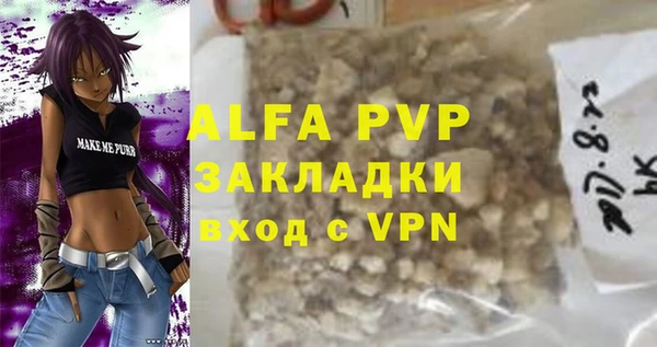 хмурый Арсеньев