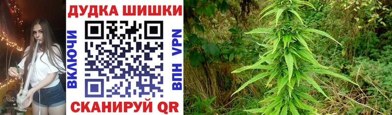 Марихуана Bruce Banner  где продают   мориарти Telegram  Певек 